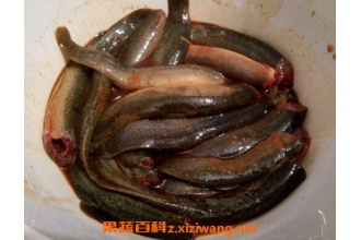 ������ҩ�ü�ֵ�빦Ч����