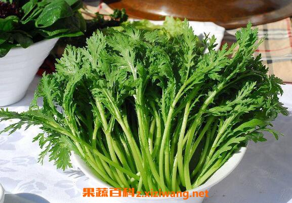 ����Ĺ�Ч������