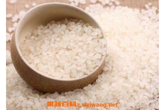粳米和大米的区别 粳米和大