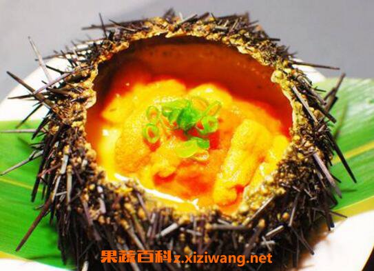 ������Ӫ����ֵ�빦Ч