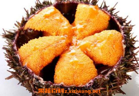 ��������ʲô Ů�ԳԺ����Ƶ�Ӫ����ֵ