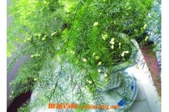 ��������� �������ֳ������ע������