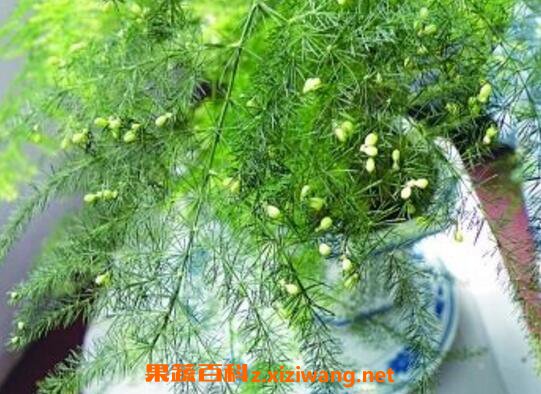 ��������� �������ֳ������ע������ 