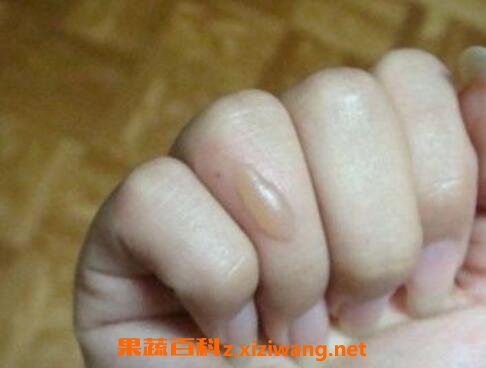 ���������ݺ���ô���� ����������ôȥ��