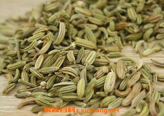 С����Ĺ�Ч������ С�����ҩ�ü�ֵ