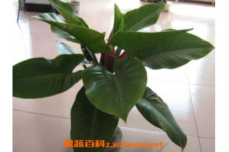 �̵�����ô�� �̵�������ֳ�����ͷ�ֳ����
