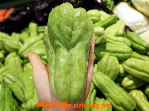���ֹϵ�Ӫ����ֵ