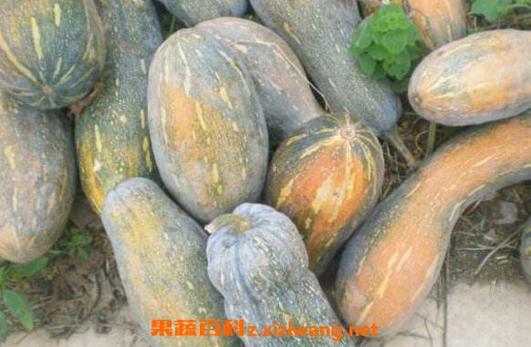 �۹��Ϲϵ�Ӫ����ֵ ���۹��Ϲϵĺô�