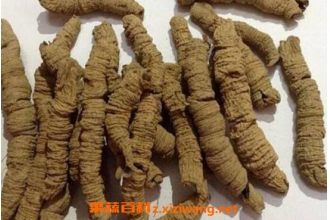�ΰ����Ĺ�Ч�����ü�ҩ�ü�ֵ