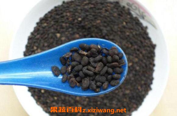 �β���֬�Ĺ�Ч�����ü�ҩ�ü�ֵ
