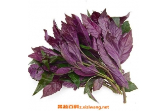 �׹����˵Ĺ�Ч������