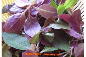 ���ݹ���������� ���ݹ����˵����Ʋ���̳�