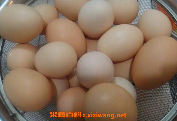 �󼦵���ô�ð�Ƥ