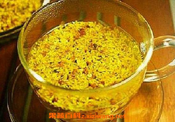 �𻨲�Ĺ�Ч������ �𻨲�����������