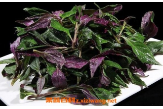 ��������ô���ó� �����˵���������