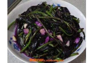 ������ʲô�˲��ܳ� �����˵�Ӫ����ֵ