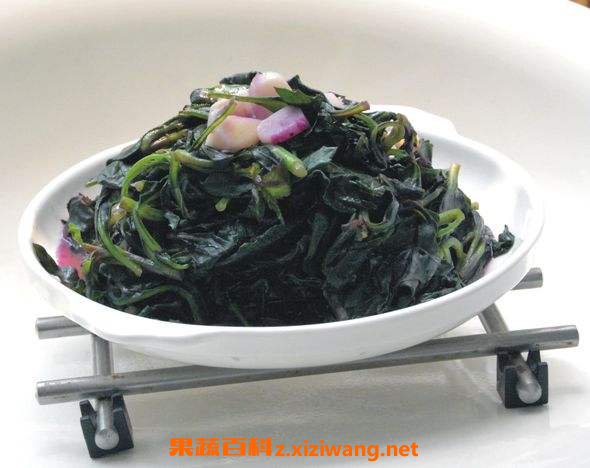 ������ʲô�˲��ܳ� �����˵�Ӫ����ֵ