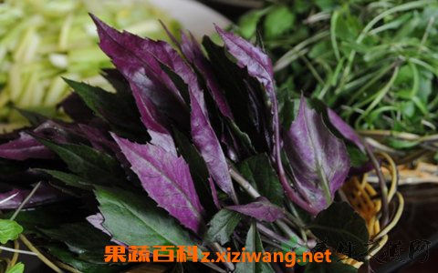 �챳����Ĳ��ܳ��� �챳���ж��� 