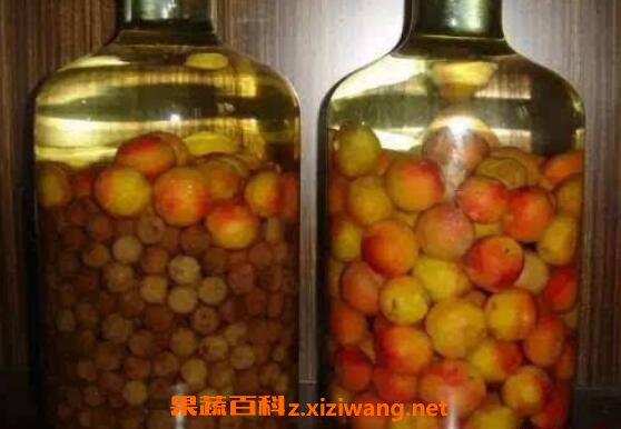 ���Ӿ���ô�� ���ӾƵ����Ʒ���