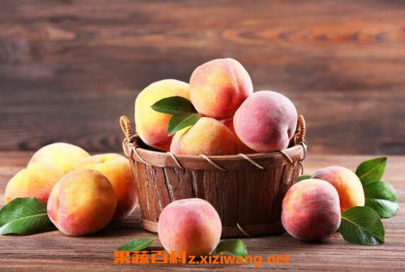 ���Ӿ���ô�� ���ӾƵ����Ʒ���
