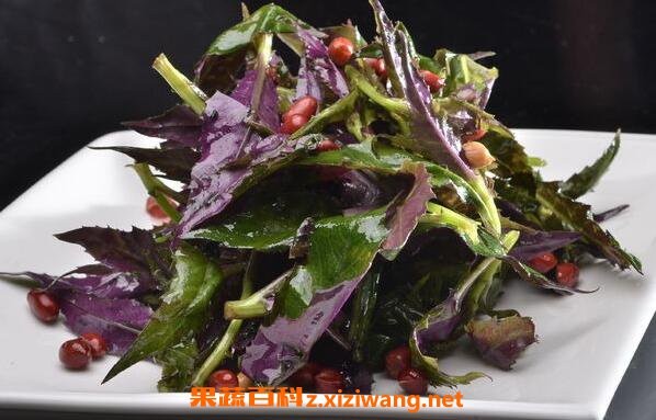 �ϱ������ô�� �ϱ��������������