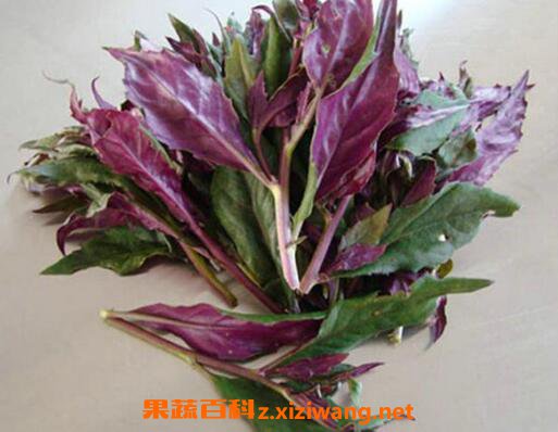 �ϱ�����Ĺ�Ч������