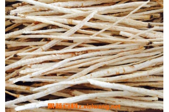 ��ɳ�κͱ�ɳ�ε�����