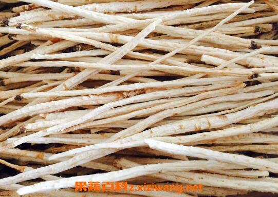 ��ɳ�κͱ�ɳ�ε�����