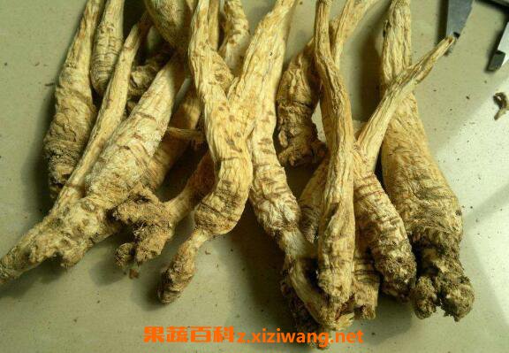 南沙参和北...... <a href=