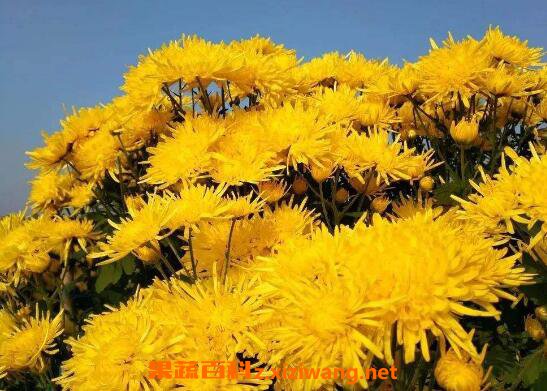 ��˿�ʾն�Ů�Եĺô� ��Щ�˲��ܺȽ�˿�ʾ�