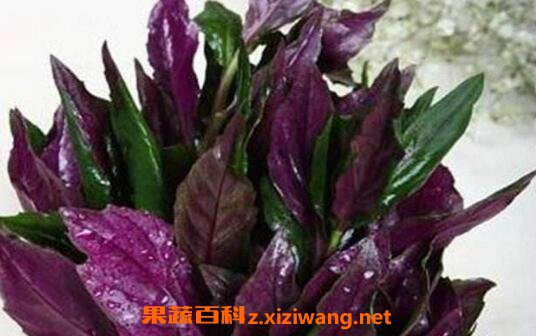 �ϱ�����Ĺ�Ч������