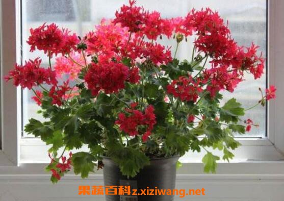 ���ÿ���ô������ ��ֳ���ÿ���ע������