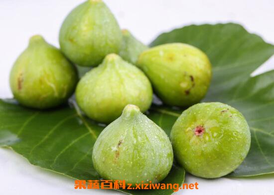 �޻�����ô�� �޻����ĳԷ�����