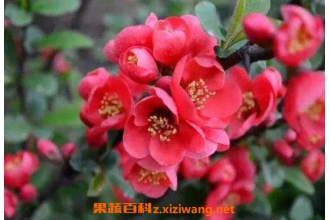 ���Ļ���ô��ֳ ���Ļ�����ֳ����