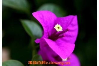 ����÷��ô�� ����÷����ֳ������ע������