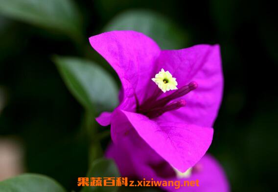 ����÷��ô�� ����÷����ֳ������ע������