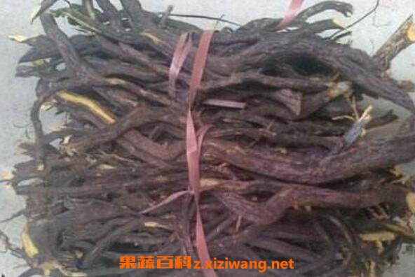 ������Ĺ�Ч�����ü�ҩ�ü�ֵ