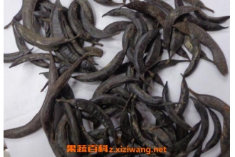 �������Ĺ�Ч������ �������ĳ����÷�