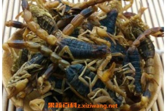 ȫЫ�������빦Ч ȫЫ��ҩ�ü�ֵ