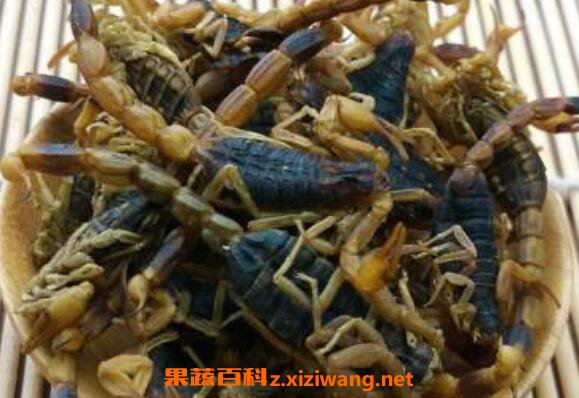 ȫЫ�������빦Ч