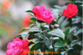 �軨��ô�� �軨����ֳ��������ֳ����