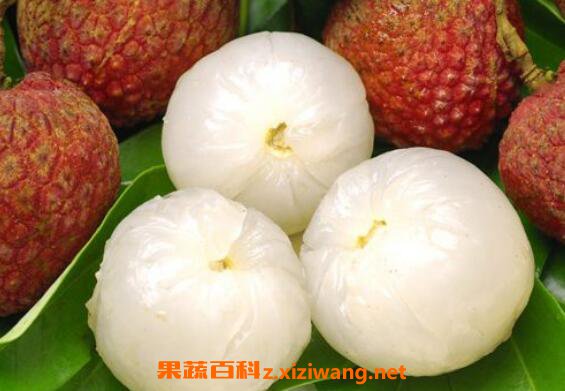 �и����Գ���֦�� �и�����֦�ĺô��ͻ���