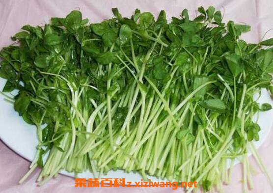�㶹ѿ��Ӫ����ֵ ���㶹ѿ�ĺô�