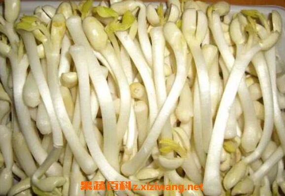 ����ѿ��Ӫ����ֵ�빦Ч