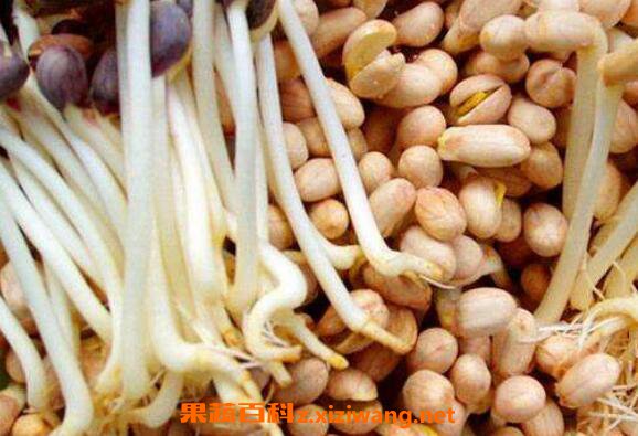 ����ѿ��Ӫ����ֵ�빦Ч