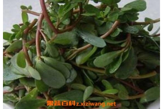 �����ȵĹ�Ч������ �����������˲��ܳ�