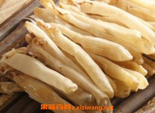 沙虫干的功效与作用