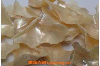 ����ĸ�Ĺ�Ч������ ����ĸ��ʳ�÷���