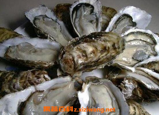 ��������ôȥ�� �����ӿ���ȥ�Ƿ�������
