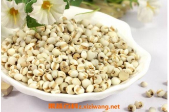޲���η�ʪ�� ޲����ô�Գ���ʪ